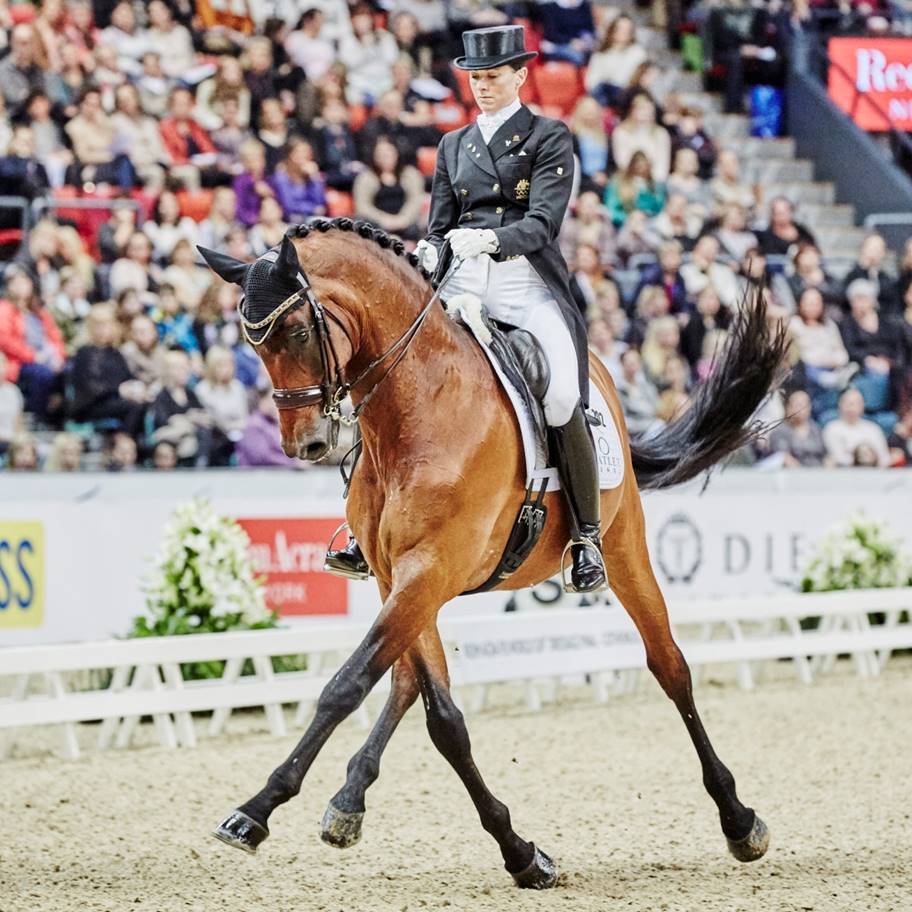2016 Australian Olympic Dressage Team Equestrian Australia