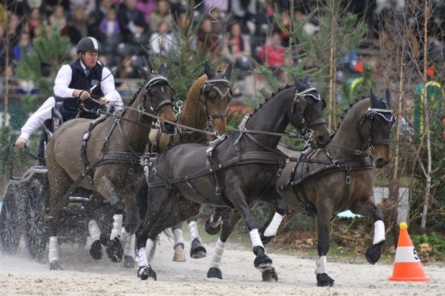 Boyd Exell FEI World Cup driving series