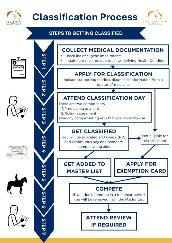 Flow chart showing classification process