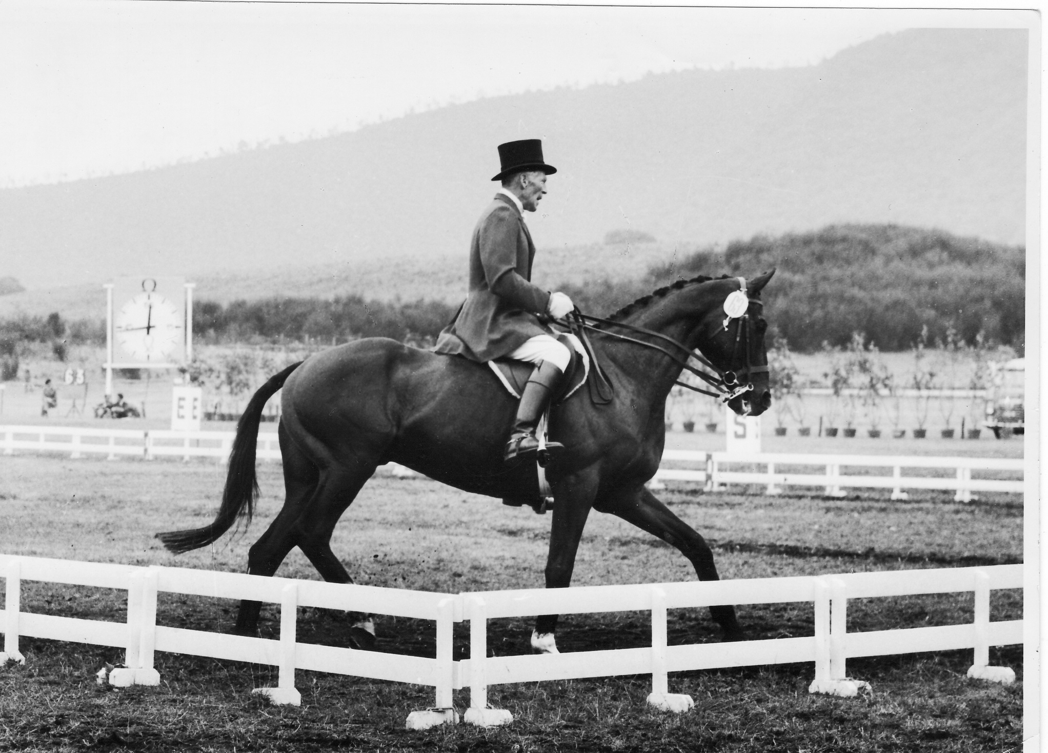 Laurie Morgan on Salad Days Olympic 3de dressage 1960