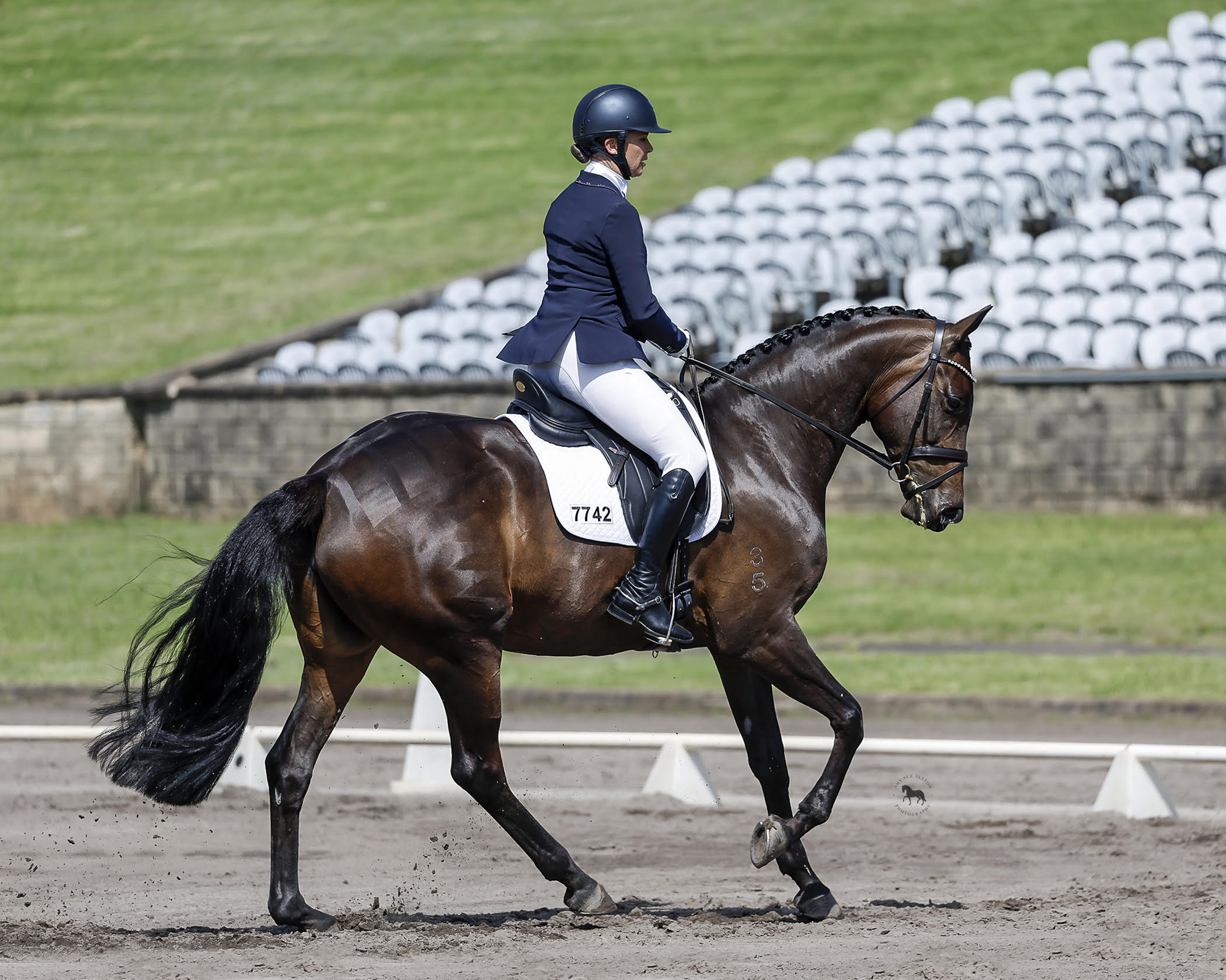 Libby Guest - Dressage