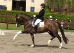 Lizzie Sobecki and Ponderosa Stud Lucarno