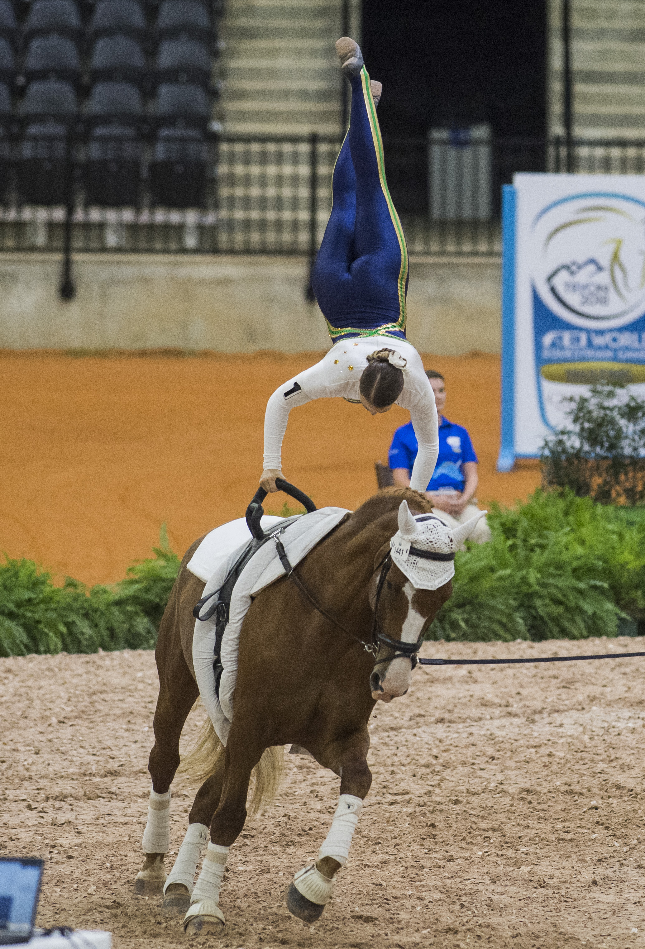 Steph competing at WEG 2018