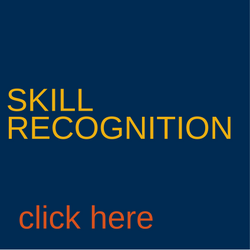 Equestrian Coach Skill recognition