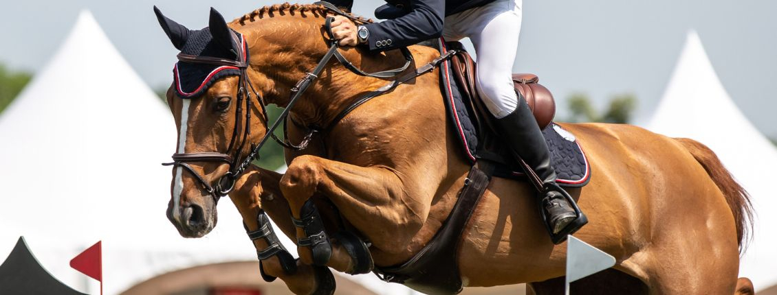 Team Announced for Jumping Nations Cup - Rome | Equestrian Australia
