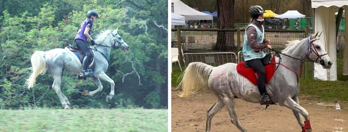 FEI Endurance World Championships for Young Riders | Equestrian Australia