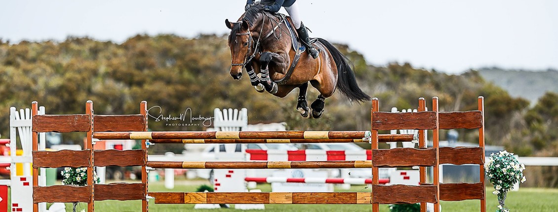 hind boots show jumping